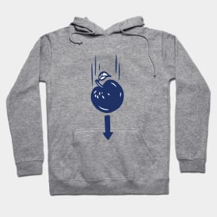 Isaac Newton Apple Hoodie